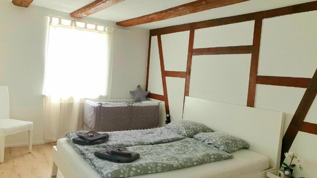 Cozy Apartment Close To Zurich Airport And City Oberglatt Exterior photo