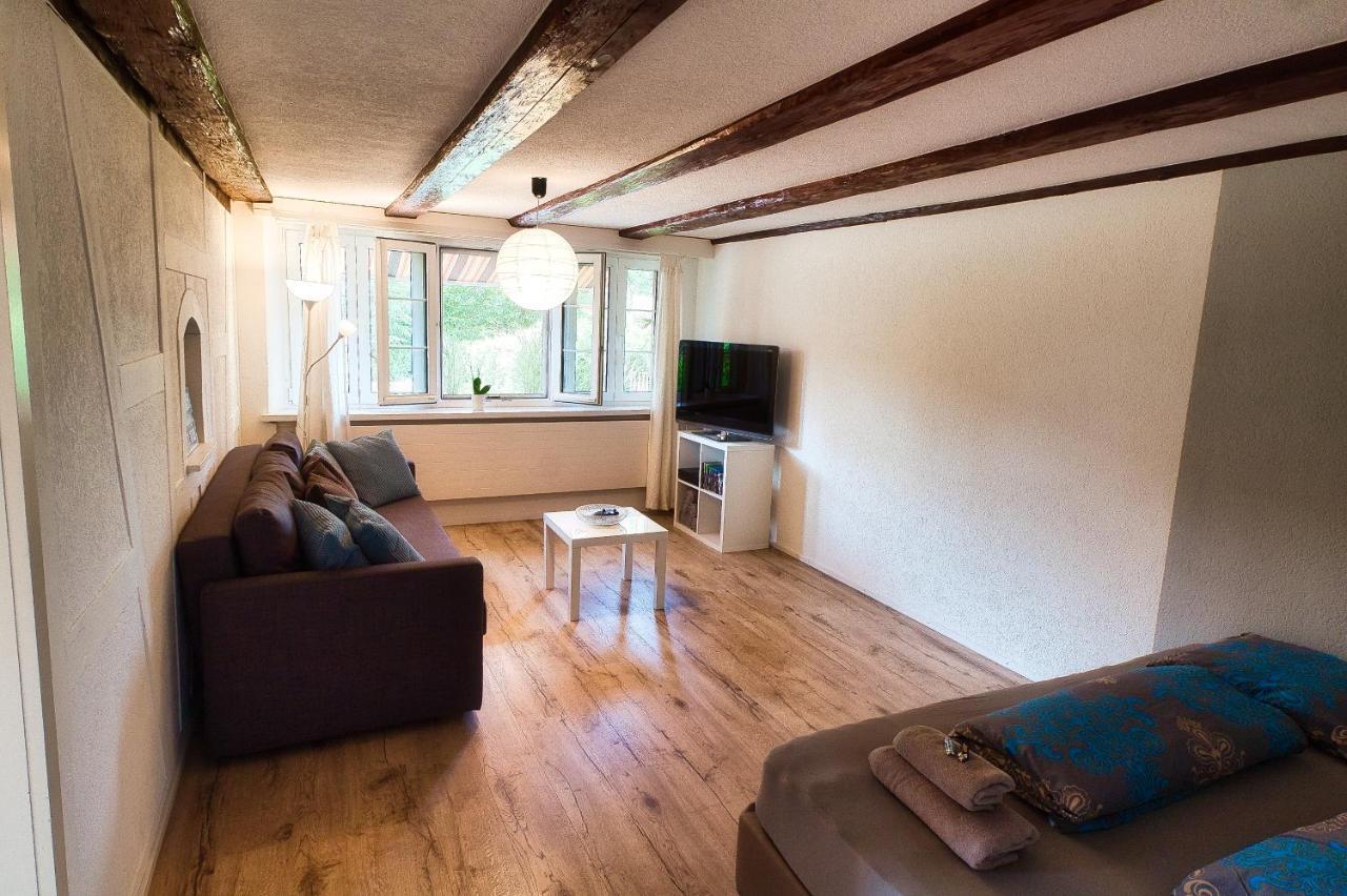 Cozy Apartment Close To Zurich Airport And City Oberglatt Exterior photo