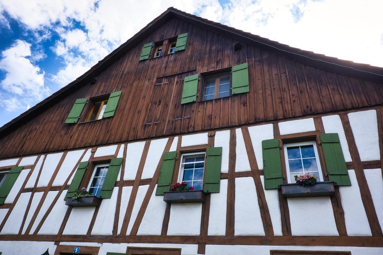 Cozy Apartment Close To Zurich Airport And City Oberglatt Exterior photo